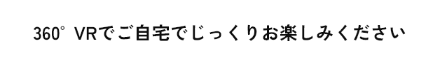 360°VRでご自宅でじっくりお楽しみください