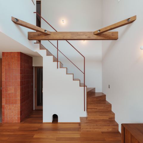 猫とテラコッタ